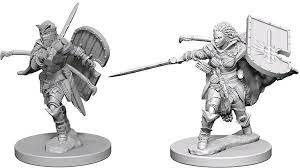 D&D Deep Cuts Minis: Human Female Paladin